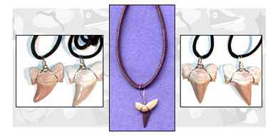 Shark tooth necklaces